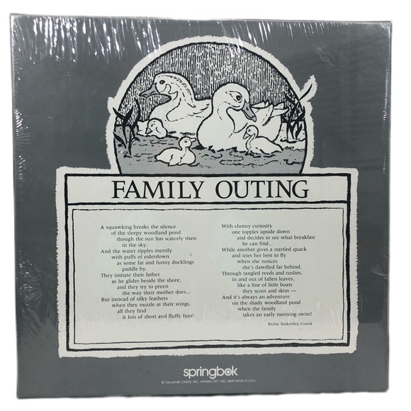 Springbok FAMILY OUTING Ducks Ducklings 500+ pc Jigsaw Puzzle Hallmark PZL2109 - Picture 2 of 4